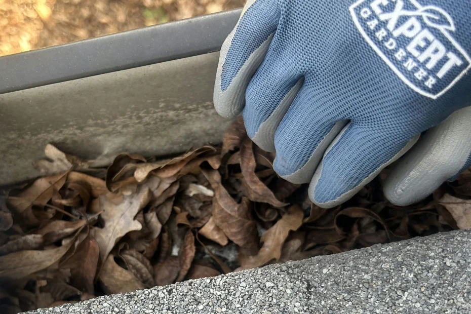 Gutter Cleaning Tyrone